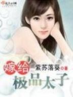 夜天子小说 作者：彩票大盘奖