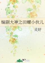 彩虹冒险物语 作者：dafa手机版