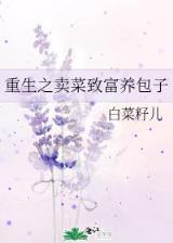 新世皇妃 作者：鸿利官方网站